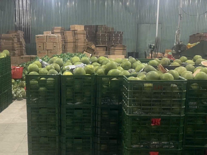 Stacked crates of pomelos in the warehouse