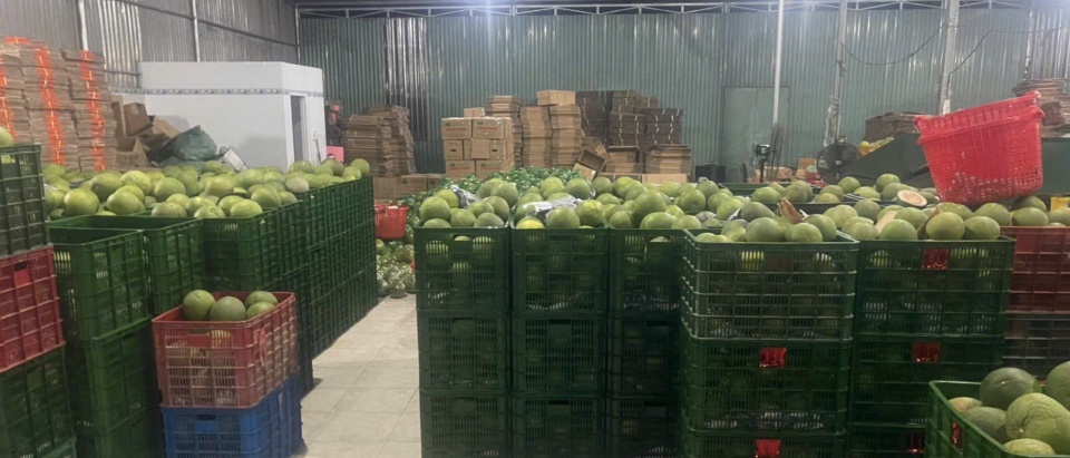Pomelo staging warehouse