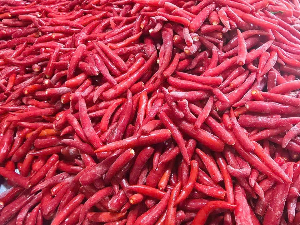 Stemless red chillies, frozen